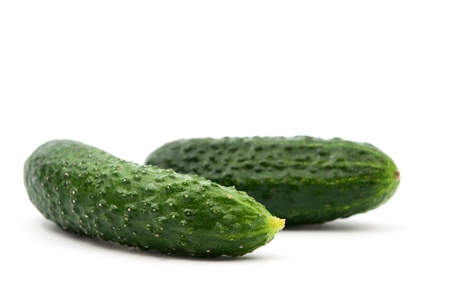 cucumber on white backgroundの写真素材