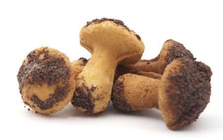 cookie mushrooms on a white backgroundの写真素材