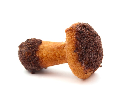 cookie mushrooms on a white backgroundの写真素材