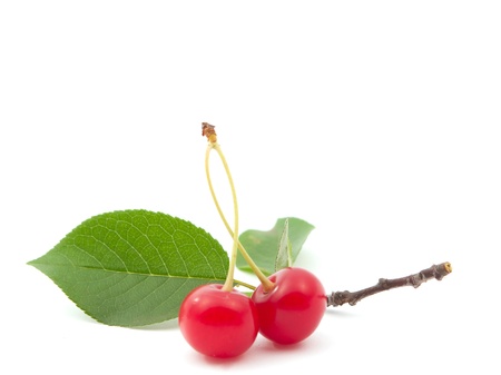 cherry on white background