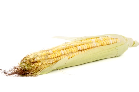 ear of corn on a white backgroundの写真素材