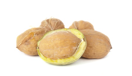 walnuts on a white background