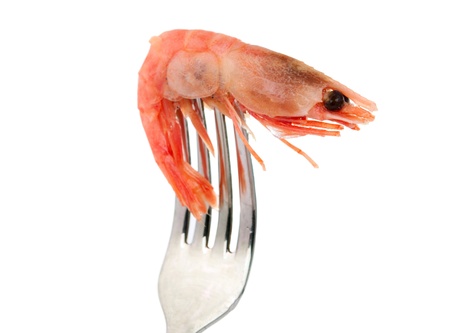 shrimp on a fork isolated on white backgroundの写真素材