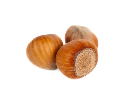 hazelnuts on a white backgroundの写真素材