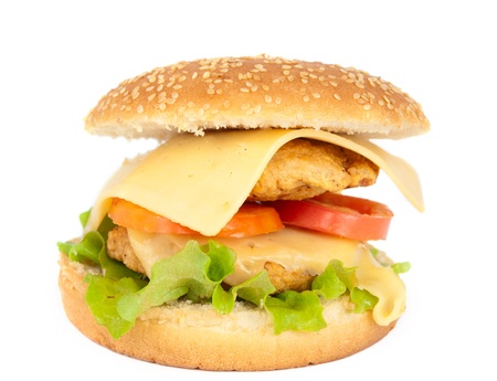 Cheeseburger on a white backgroundの写真素材