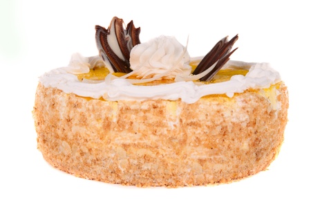 fruit cake isolated on white backgroundの写真素材