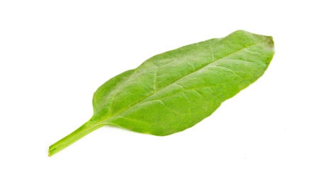 Fresh spinach with water drops on a white background