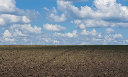 plowed field on a background of the sky with cloudsの写真素材