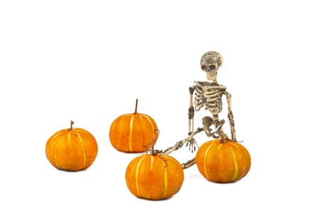 skeleton with a pumpkin isolated on a white backgroundの写真素材