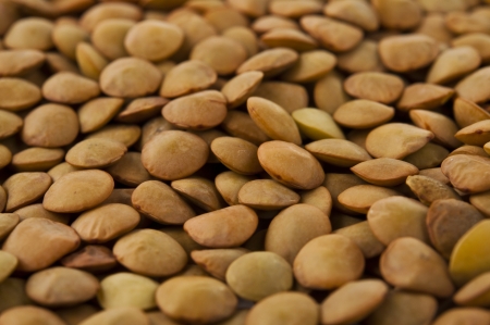 Lentil evenly layer background