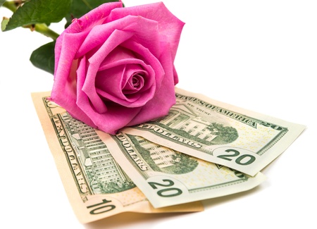 dollars with a rose isolated on a white backgroundの写真素材