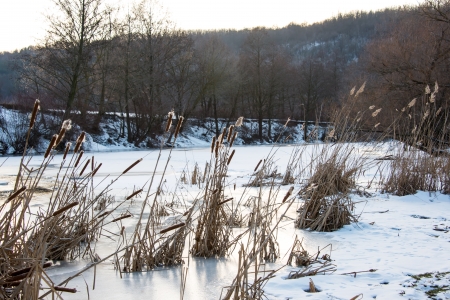 Winter landscape. Composition of nature.の写真素材