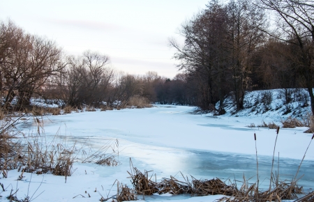 Winter landscape. Composition of nature.の写真素材