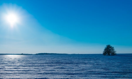 winter landscape in a field a white backgroundの写真素材