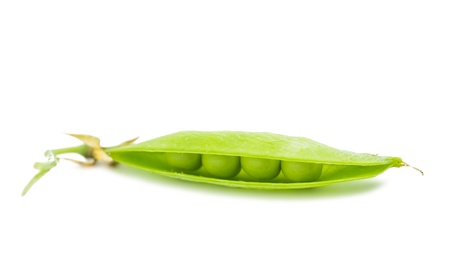 green pea pod on white backgroundの写真素材