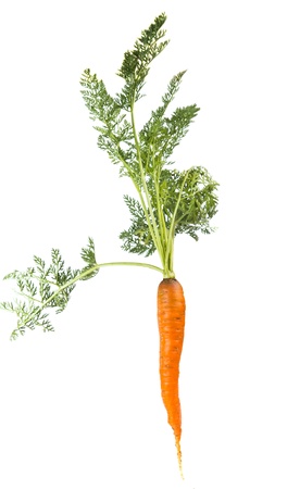 Carrots isolated on white backgroundの写真素材