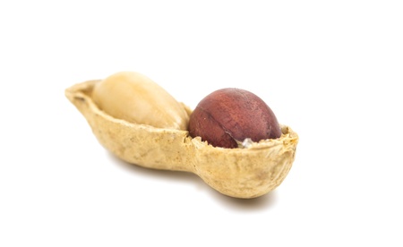 peanuts on a white background