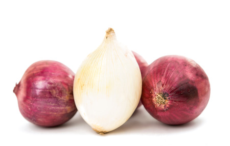 onion bulb isolated on white background cutoutの写真素材