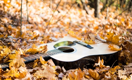 Guitar in autumn leavesの写真素材