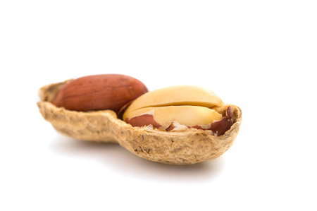 peanuts isolated on white background