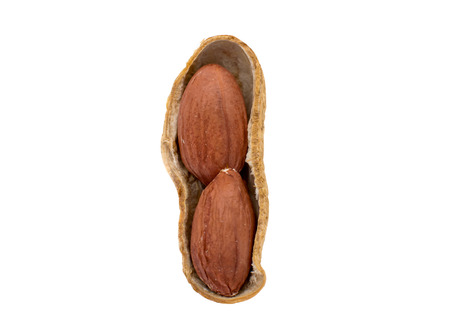 peanuts on a white background
