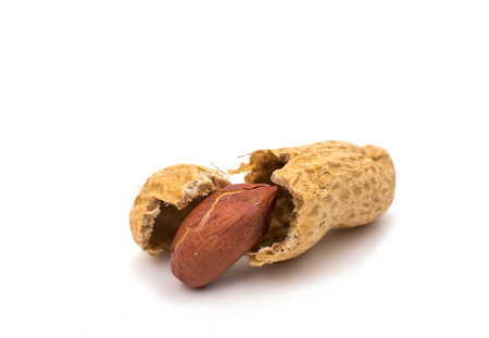 peanuts on a white background