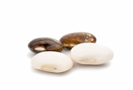 Beans isolated on a white backgroundの写真素材