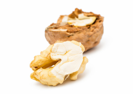  walnut isolated on a white background.