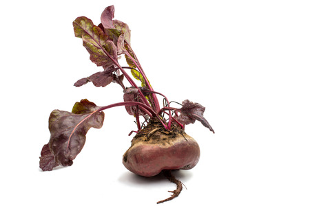 red beet with leaves on a white backgroundの写真素材