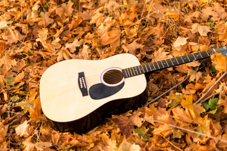 Guitar on autumn leavesの写真素材