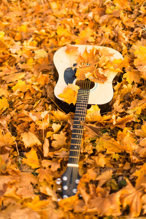 Guitar on autumn leavesの写真素材