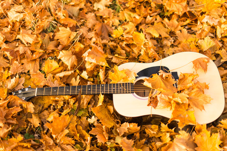 Guitar on autumn leavesの写真素材