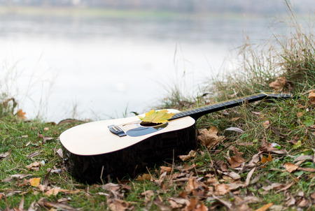 Guitar on autumn leavesの写真素材