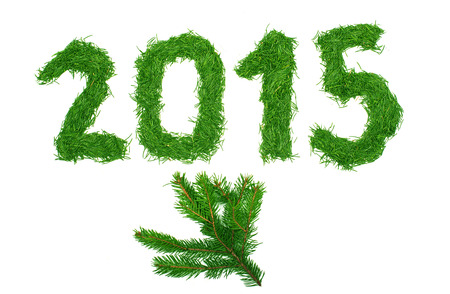 2015 of spruce needles on a white backgroundの写真素材