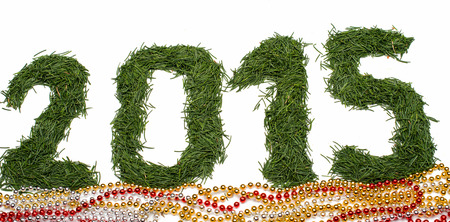 2015 of spruce needles on a white backgroundの写真素材
