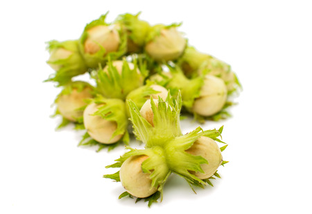 green hazelnuts on a white backgroundの写真素材