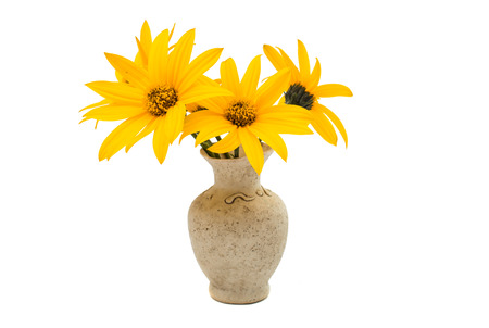 yellow flowers in a vase on a white 