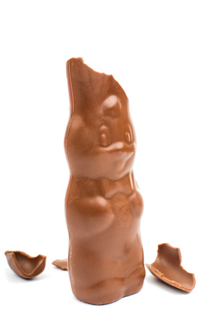 chocolate bunny on a white backgroundの写真素材