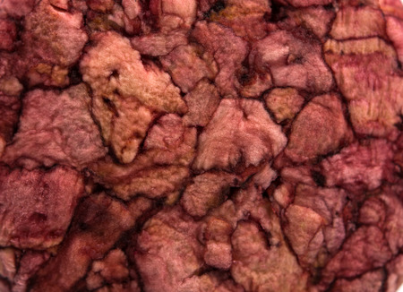 texture of a wine corkの写真素材