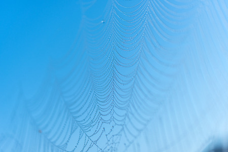 spider web or cobweb with water drops after rain against a blue sky, selective focus and shallow depth of fieldの写真素材
