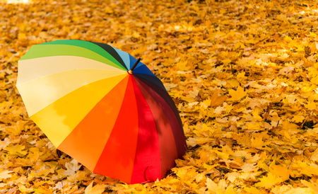 colored umbrella in the parkの写真素材