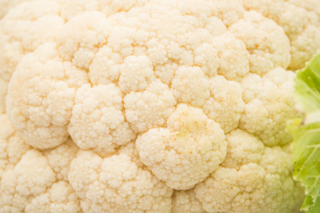 cauliflower on a white backgroundの写真素材