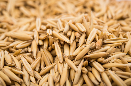 Heap of organic oat grains as background, healthy food and nutritionの写真素材