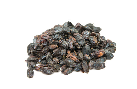 Dried barberry berries on white background