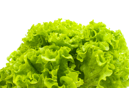 green lettuce leaves isolated on white backgroundの写真素材