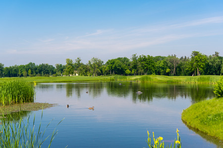 Spring meadow landscape with a lakeの写真素材