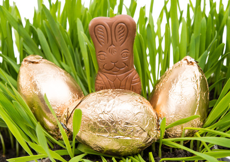 Chocolate bunny in the grass with  wrapped easter eggs
