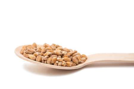 wheat in a wooden spoon isolated on white backgroundの写真素材
