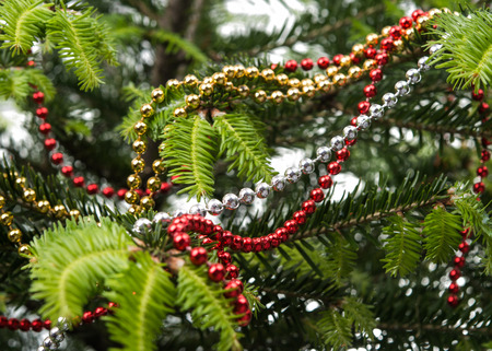 christmas decoration, holidays, new year and decor concept - close up of natural fir branch