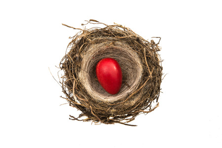 chocolate eggs in the nest isolated on a white backgroundの写真素材